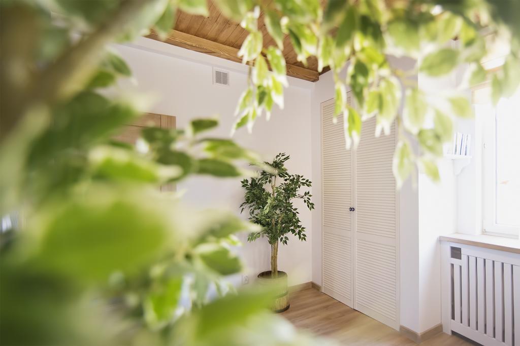 Apartament Varmia أولشتين المظهر الخارجي الصورة